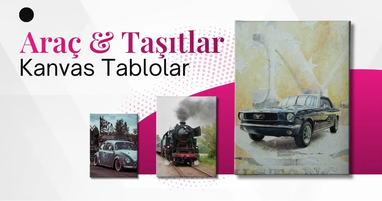 Araç & Taşıtlar